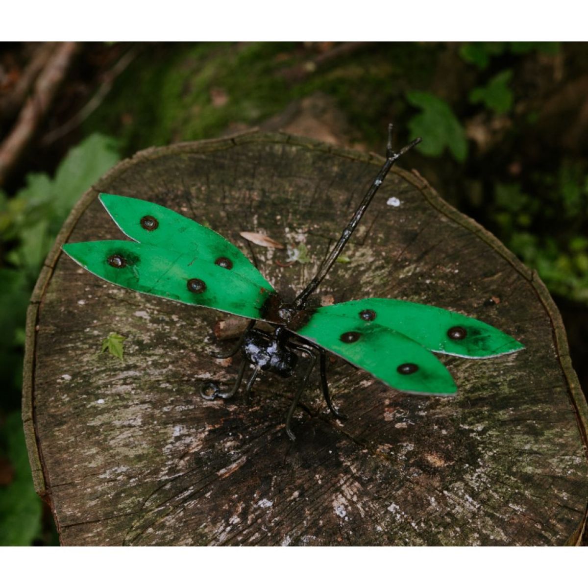 Øyenstikker til vegg grønn