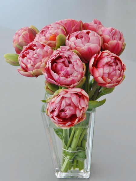 Hovedbilde Tulipan Wedding Gift 7 stykk Nyhet