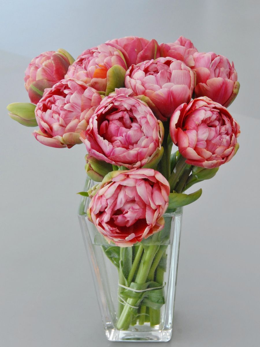 Tulipan Wedding Gift 7 stykk Nyhet